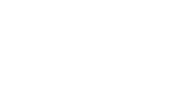 VacHolster.com